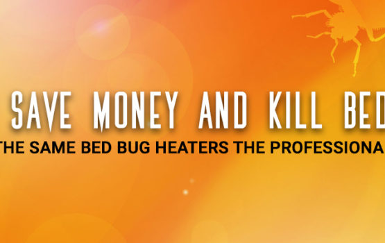 rent-heat-hero | Nashville Bed Bugs